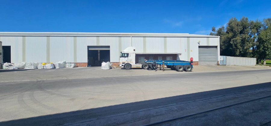 To Let commercial Property for Rent in Brackenfell South Western Cape